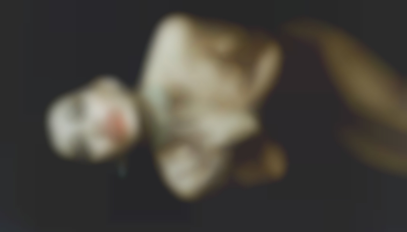 Comment les services de conversation érotique aident à explorer les fantasmes